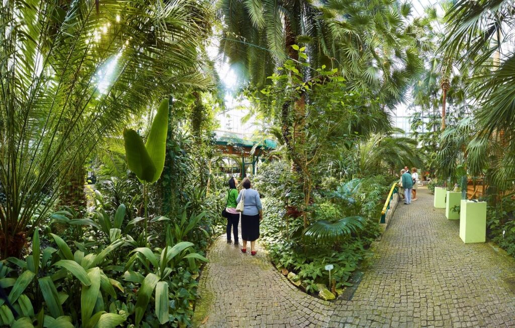 Palmiarnia Miejska w Gliwicach