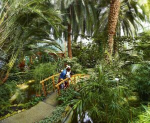 Palmiarnia Miejska w Gliwicach