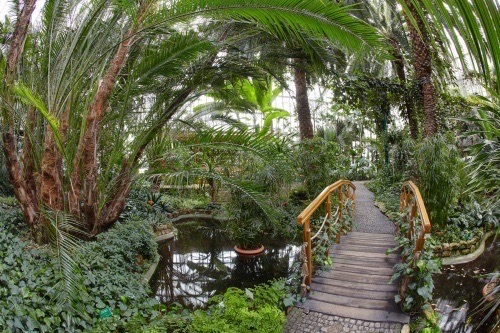 Palmiarnia Miejska w Gliwicach