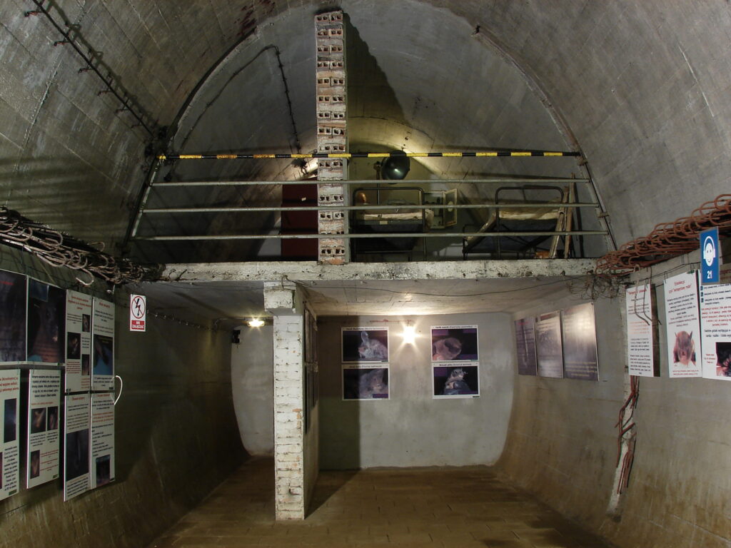 Międzyrzecki Rejon Umocniony