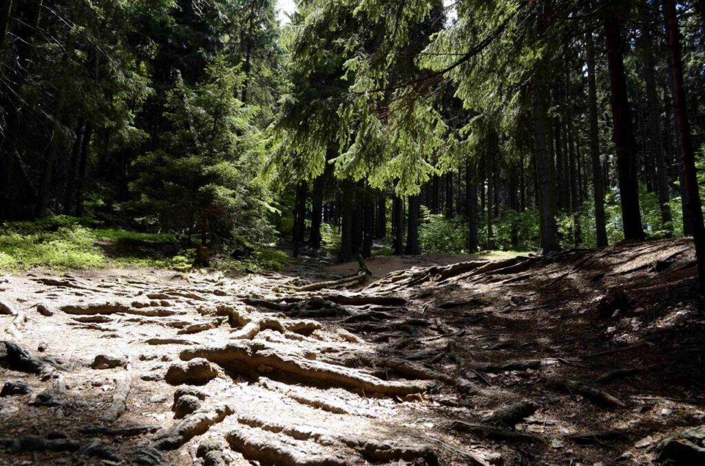 Kolorowe jeziorka w Rudawach Janowickich