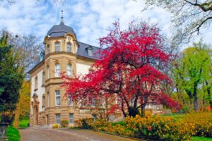 Muzeum Lubuskie im. Jana Dekerta w Gorzowie Wielkopolskim