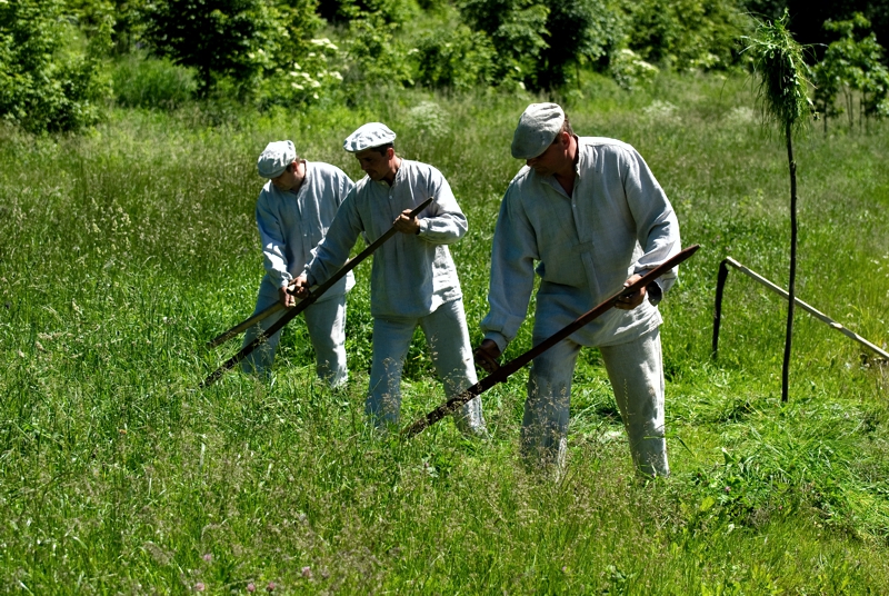 Muzeum Wsi Lubelskiej
