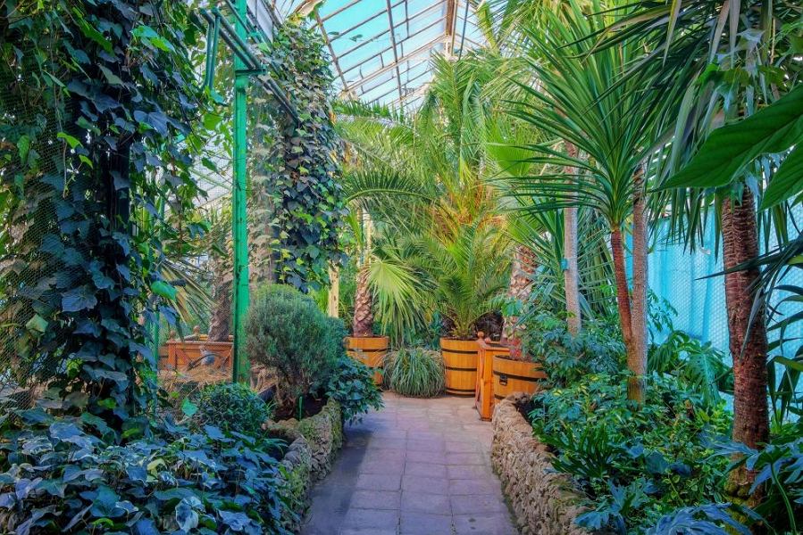 Palmiarnia w Wałbrzychu