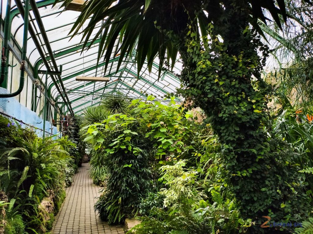 Palmiarnia w Wałbrzychu