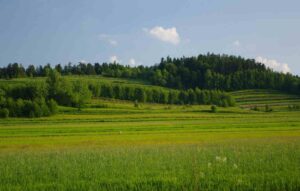 Roztoczański Park Narodowy