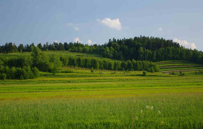 Roztoczański Park Narodowy