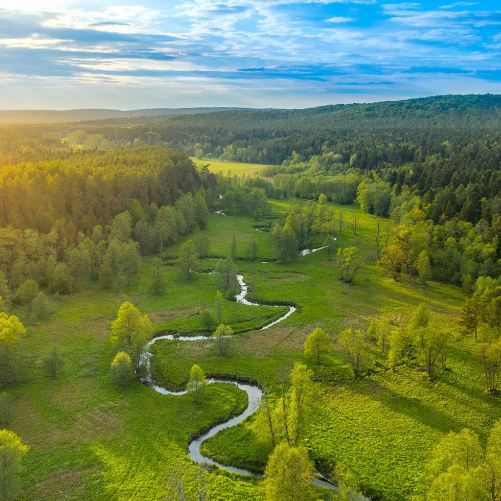 Roztoczański Park Narodowy