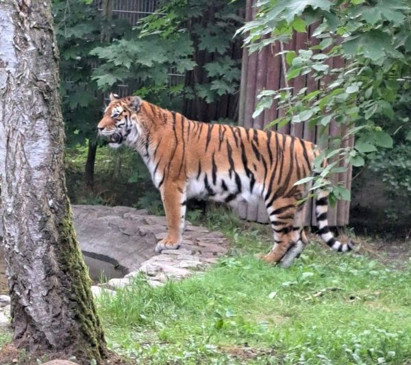 Ogród Zoologiczny w Bydgoszczy