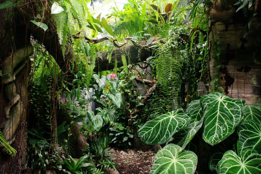 Ogród Zoologiczny im. Stefana Milera w Zamościu