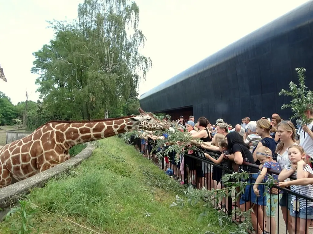 ZOO Wrocław