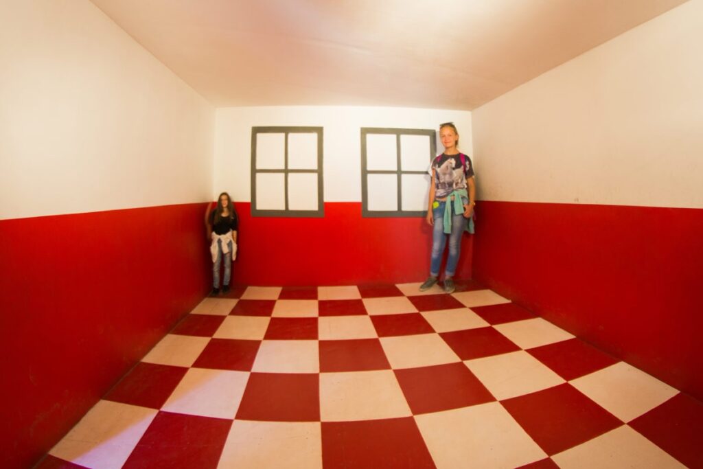 Farma Iluzji – Park Edukacji i Rozrywki