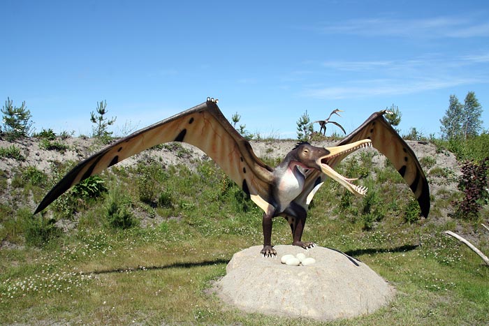 Łeba Park – Park Dinozaurów