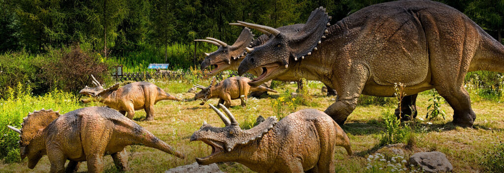 Łeba Park – Park Dinozaurów