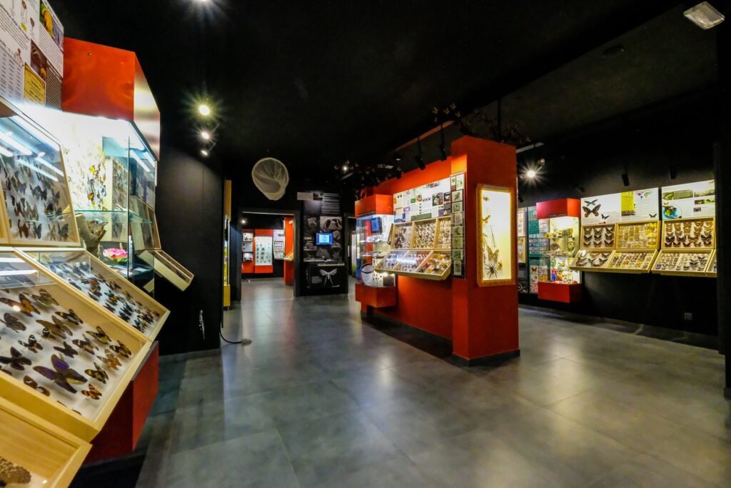 Muzeum Motyli w Łebie