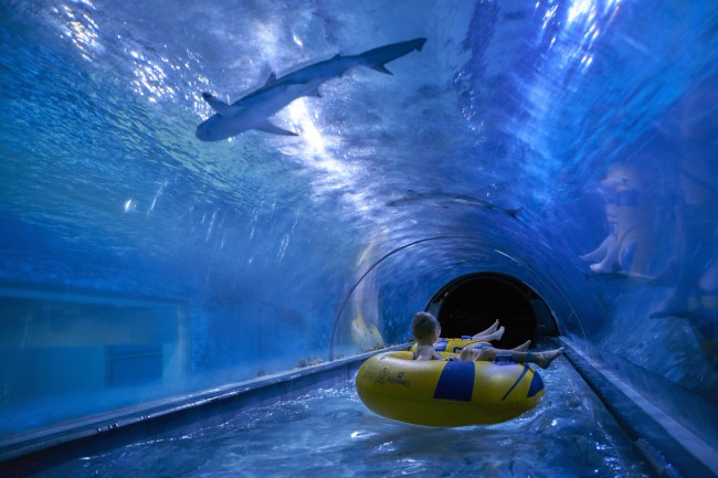 Aquapark Reda