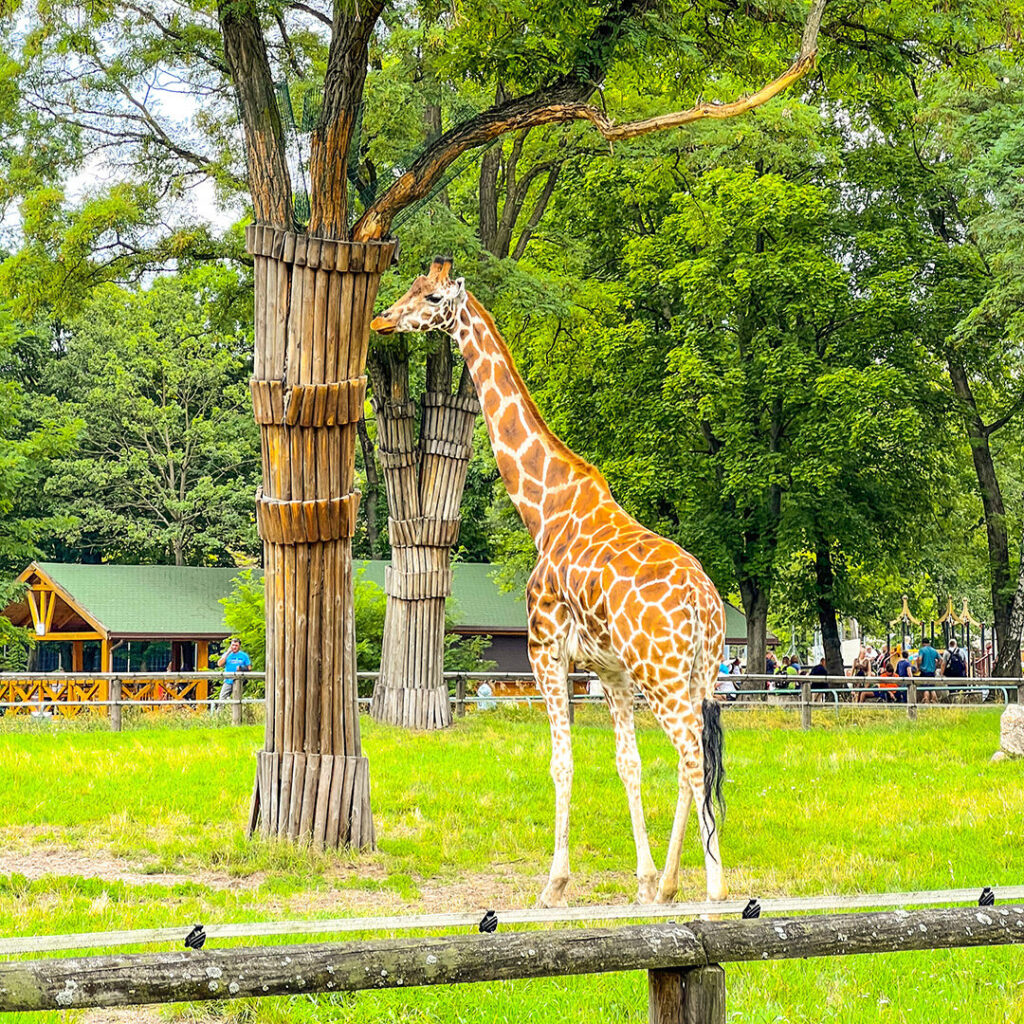 Orientarium ZOO Łódź