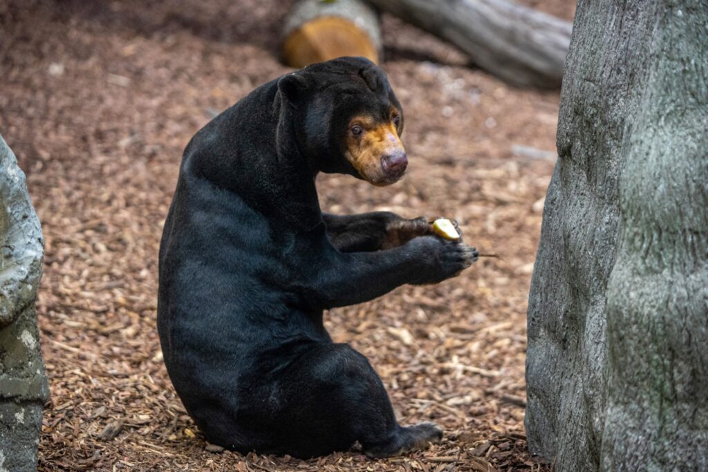 Orientarium ZOO Łódź