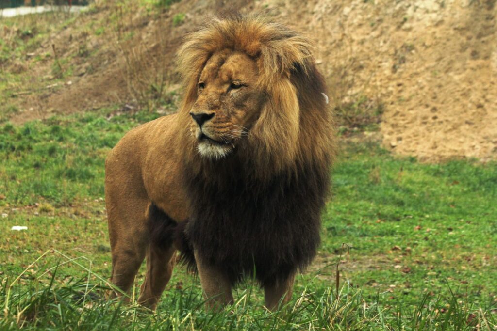 Gdański Ogród Zoologiczny