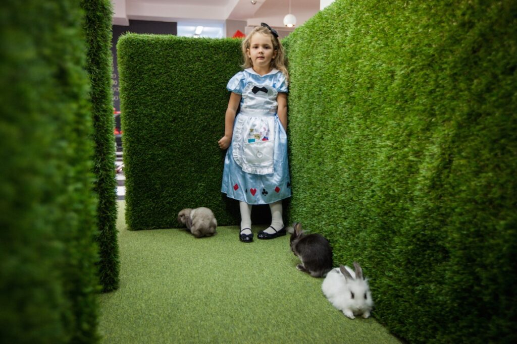 Kraina Czarów Katowice