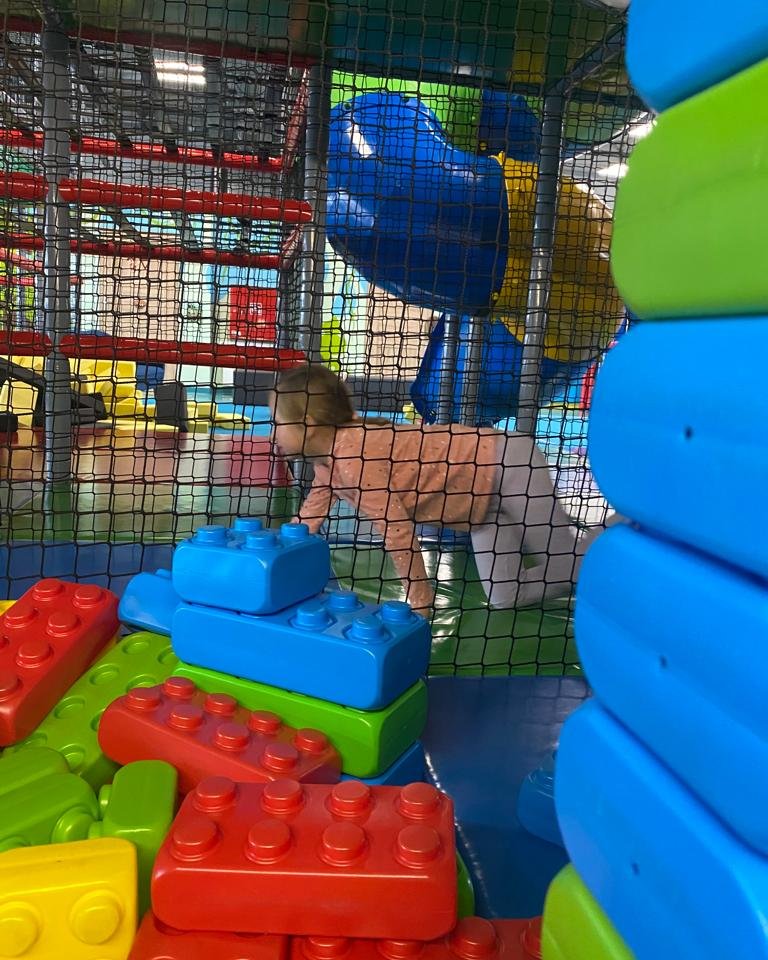 Małpi Gaj Sala Zabaw Katowice