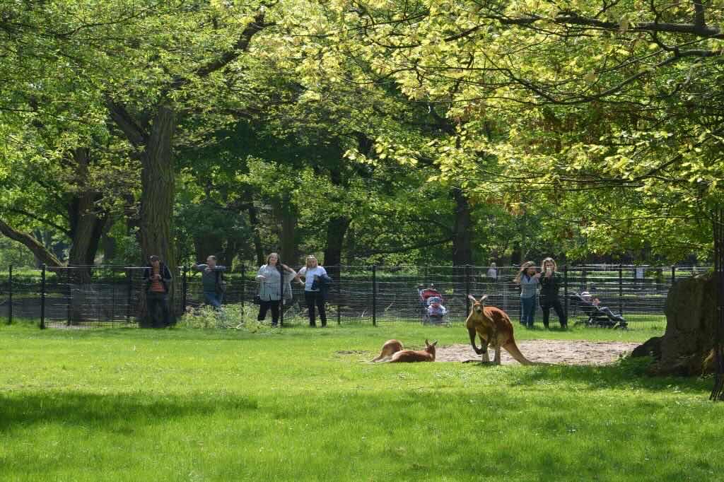 Miejski Ogród Zoologiczny w Warszawie